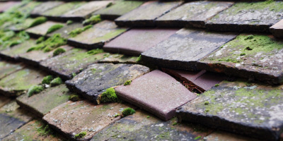 Prebendal Farm roof repair costs